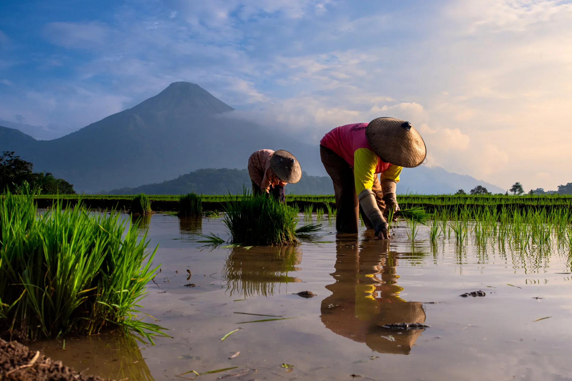Harmoni Kehidupan di Kaki Gunung